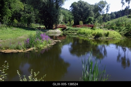 Tanösvény Ipolytarnócon-stock-foto