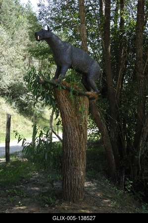 Tanösvény Ipolytarnócon-stock-foto