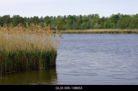 Dunapataj, Szelidi-tó-stock-foto