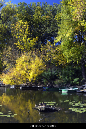 Lakitelek - Tősfürdő, Holt-Tisza-stock-foto