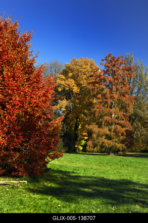Őszi színekben pompázik a Szarvasi Arborétum-stock-foto
