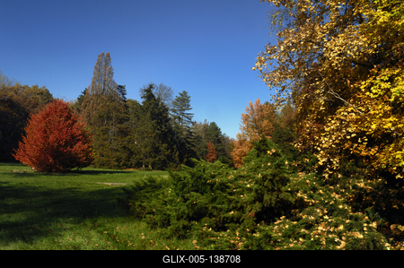 Őszi színekben pompázik a Szarvasi Arborétum-stock-foto