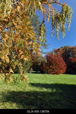 Őszi színekben pompázik a Szarvasi Arborétum-stock-foto
