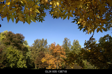 Őszi színekben pompázik a Szarvasi Arborétum-stock-foto