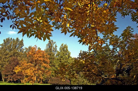 Őszi színekben pompázik a Szarvasi Arborétum-stock-foto