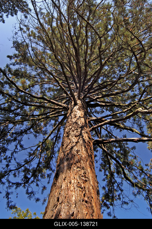 A Szarvasi Arborétum (Pepi-kert)-stock-foto