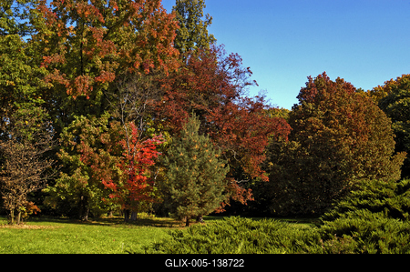 Őszi színekben pompázik a Szarvasi Arborétum-stock-foto