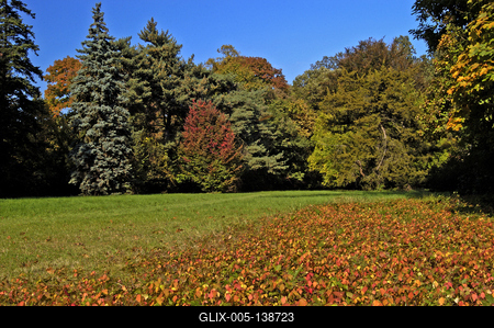 Őszi színekben pompázik a Szarvasi Arborétum-stock-foto