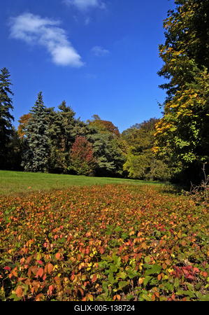 Őszi színekben pompázik a Szarvasi Arborétum-stock-foto