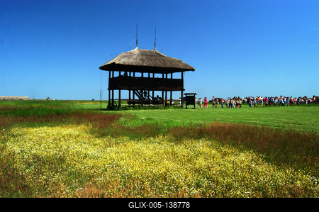 Madárles a Kardoskút-Pusztaközpontban-stock-foto