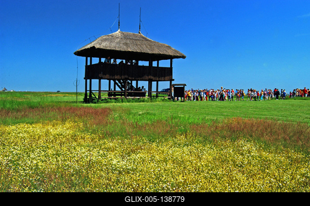 Madárles a Kardoskút-Pusztaközpontban-stock-foto