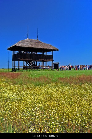 Madárles a Kardoskút-Pusztaközpontban-stock-foto