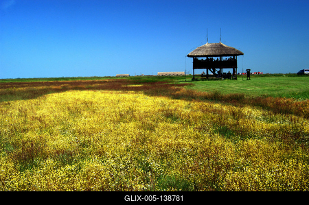 Madárles a Kardoskút-Pusztaközpontban-stock-foto