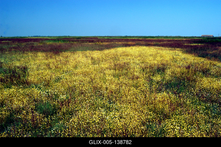 Kardoskút-Pusztaközpont-stock-foto