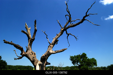 Bélmegyer, Fáspuszta-stock-foto