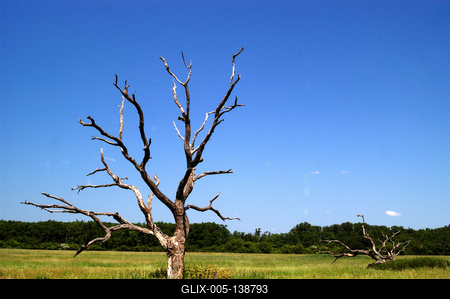 Bélmegyer, Fáspuszta-stock-foto