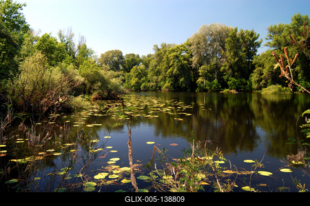 Lakitelek - Tősfürdő, Holt-Tisza-stock-foto