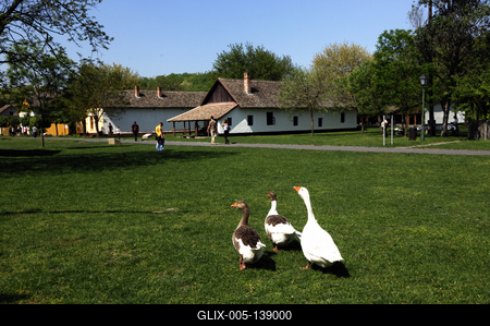 Ópusztaszer, Szabadtéri néprajzi gyűjtemény-stock-foto