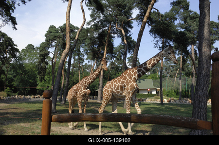 Debrecen, Állat- és Növénykert-stock-foto