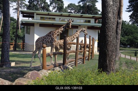 Debrecen, Állat- és Növénykert-stock-foto