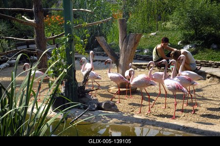 Debrecen, Állat- és Növénykert-stock-foto