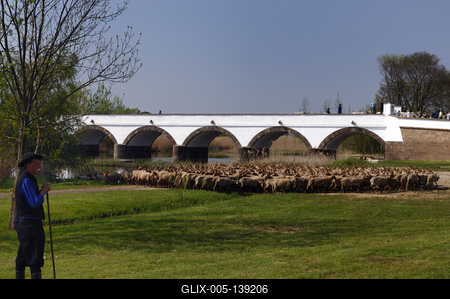 Hortobágy, magyar racka juhok a Kilenclyukú hídnál-stock-foto