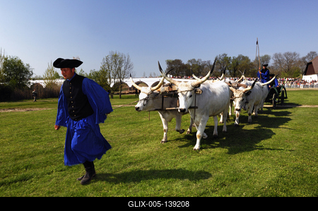 Hortobágy, hat ökrös szekér a Kilenclyukú hídnál-stock-foto
