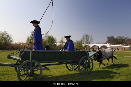Hortobágy, hat ökrös szekér a Kilenclyukú hídnál-stock-foto