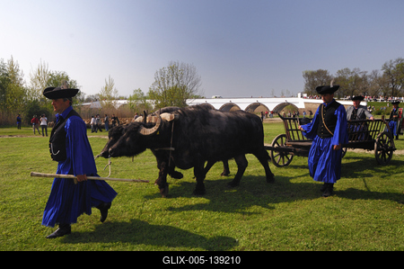 Hortobágyi pásztorok a Kilenclyukú hídnál-stock-foto