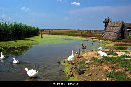 Hortobágy, Pusztai állatpark-stock-foto