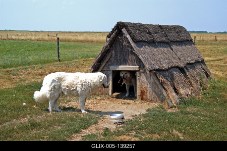Hortobágy, Pusztai állatpark-stock-foto
