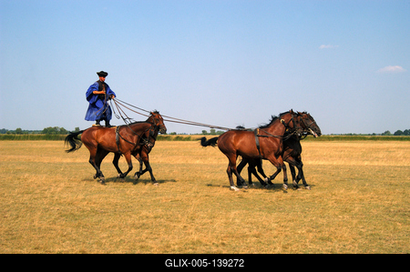 Csikós bemutató Hortobágyon-stock-foto