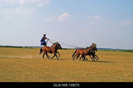 Csikós bemutató Hortobágyon-stock-foto