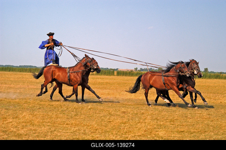 Csikós bemutató Hortobágyon-stock-foto