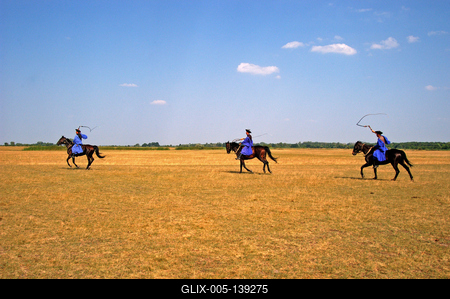 Csikós bemutató Hortobágyon-stock-foto