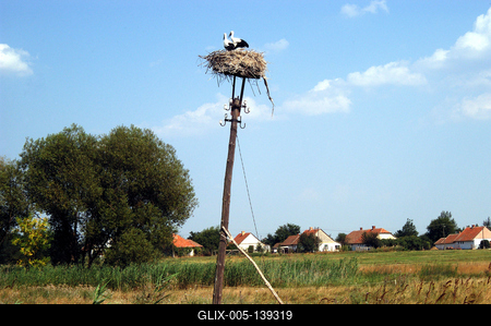 Gólyafészek a Hortobágyon-stock-foto