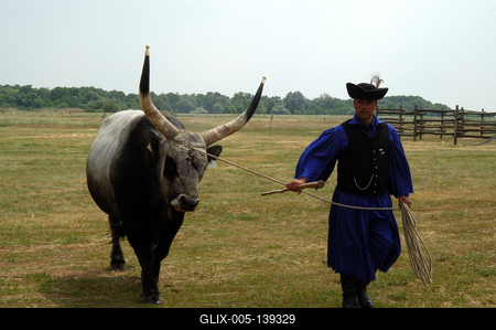 Hortobágyi pásztorok-stock-foto