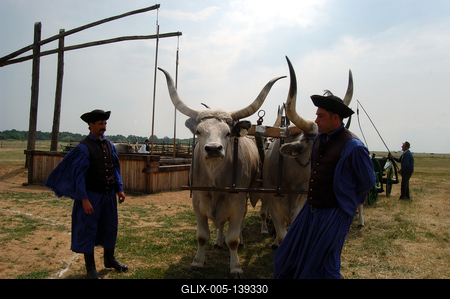 Hortobágyi pásztorok-stock-foto