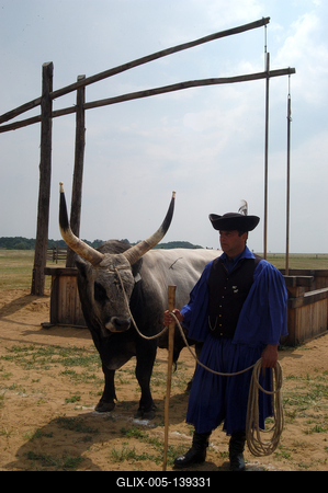 Hortobágyi pásztorok-stock-foto