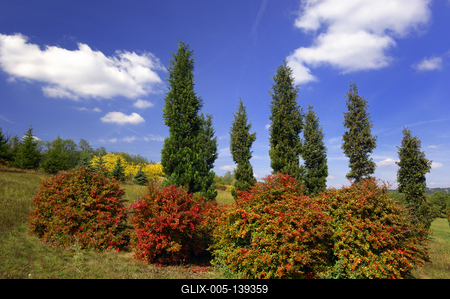A Pákozd-Sukorói Arborétum-stock-foto
