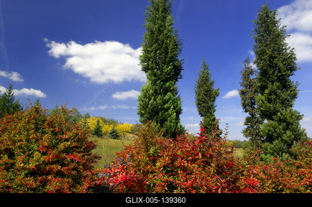 A Pákozd-Sukorói Arborétum-stock-foto