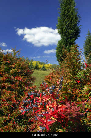 A Pákozd-Sukorói Arborétum-stock-foto