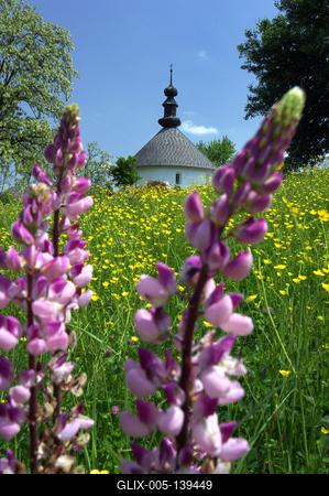 Kissikátor, Római katolikus körtemplom-stock-foto
