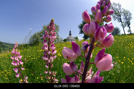 Kissikátor, Római katolikus körtemplom-stock-foto