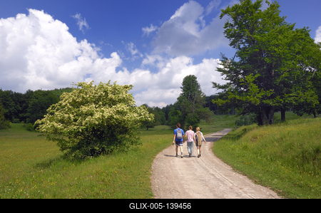 Bükk-fennsík, tájkép tavasszal-stock-foto