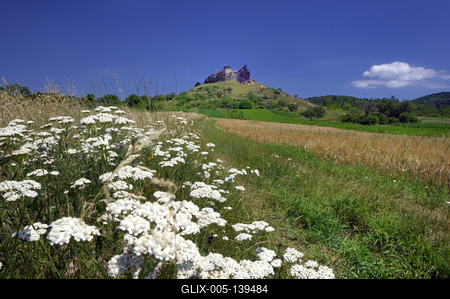 Boldogkőváralja, Boldogkő vára-stock-foto