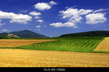 Boldogkőváralja, Boldogkő vára-stock-foto