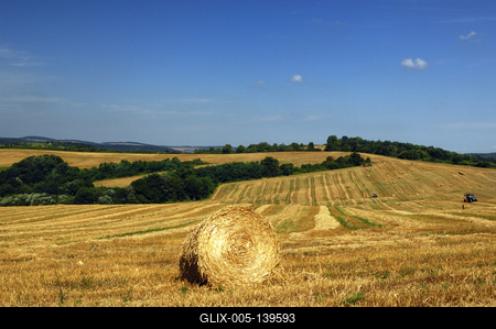 Abaligeti táj-stock-foto