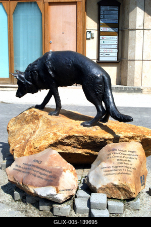 Mancs, a híres életmentő kutya szobra Miskolcon-stock-foto