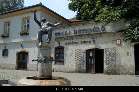 Tokaj, Rákóczi Pince-stock-foto